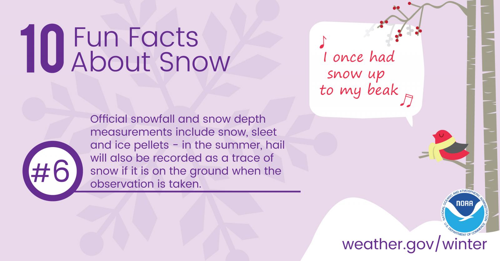 10 Fun Facts About Snow: #6. Official snowfall and snow depth measurements include snow, sleet and ice pellets - in the summer, hail will also be recorded as a trace of snow if it is on the ground when the observation is taken.